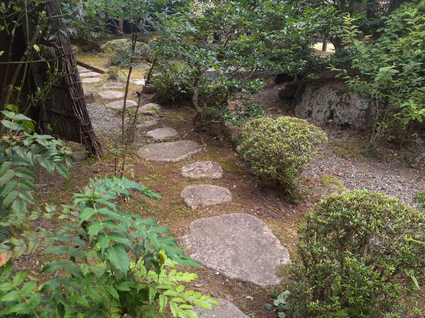 草取りの必要性と方法