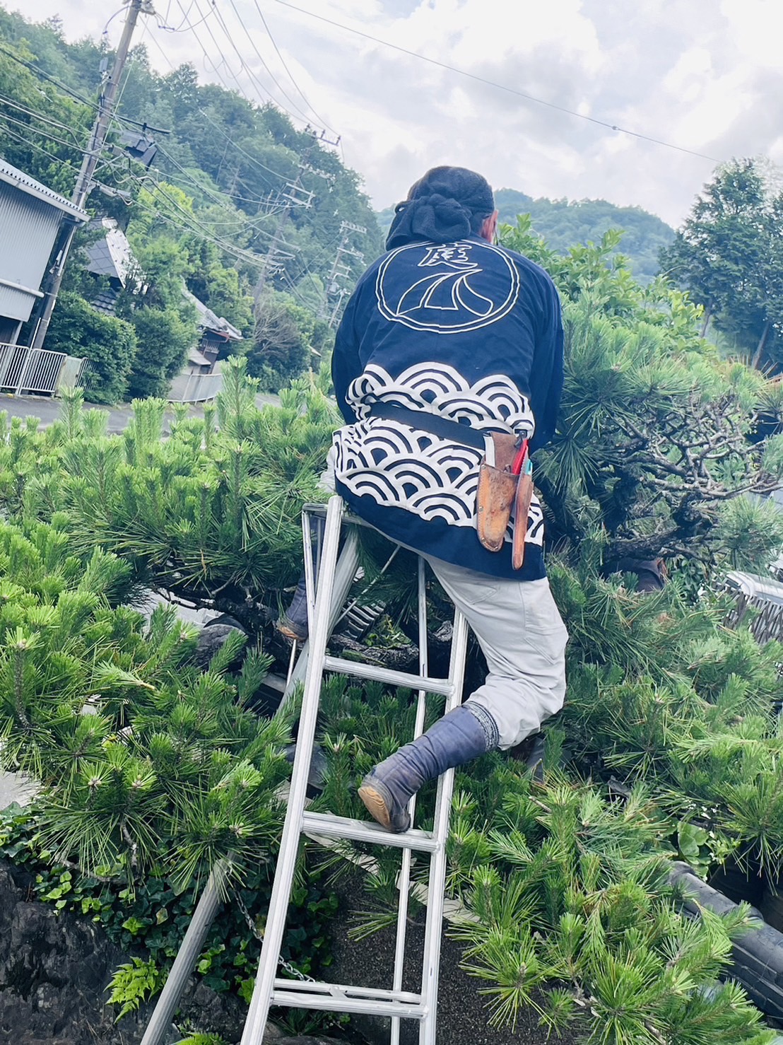 7. お問い合わせ・ご相談はこちら