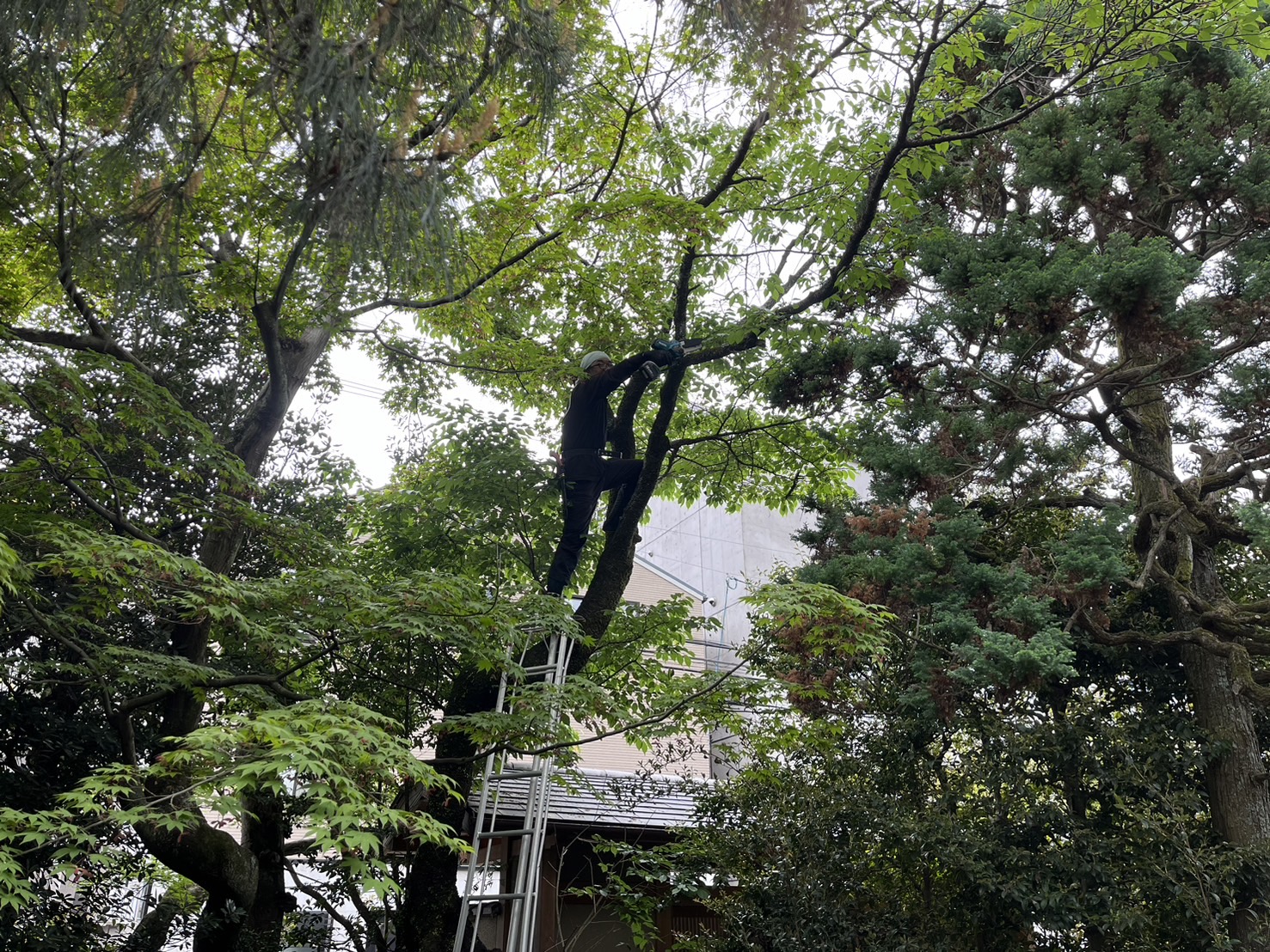 亀岡市のお庭、どんな小さなことでもご相談ください！