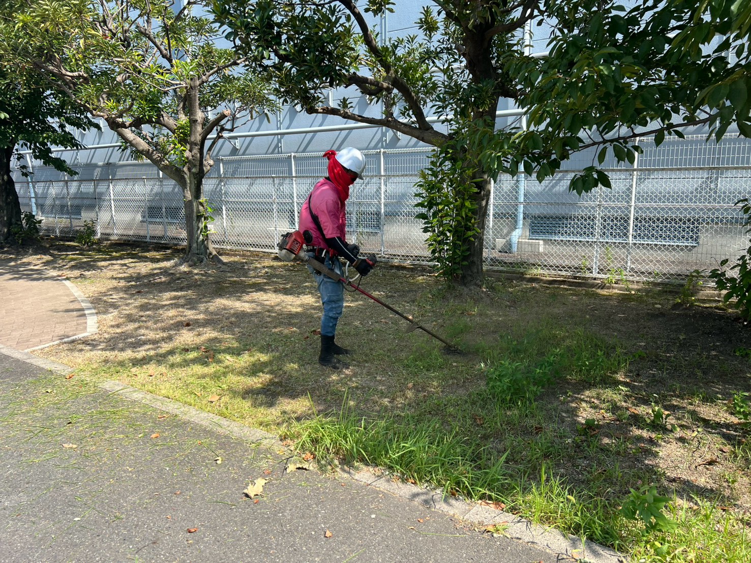 今すぐお問い合わせを！