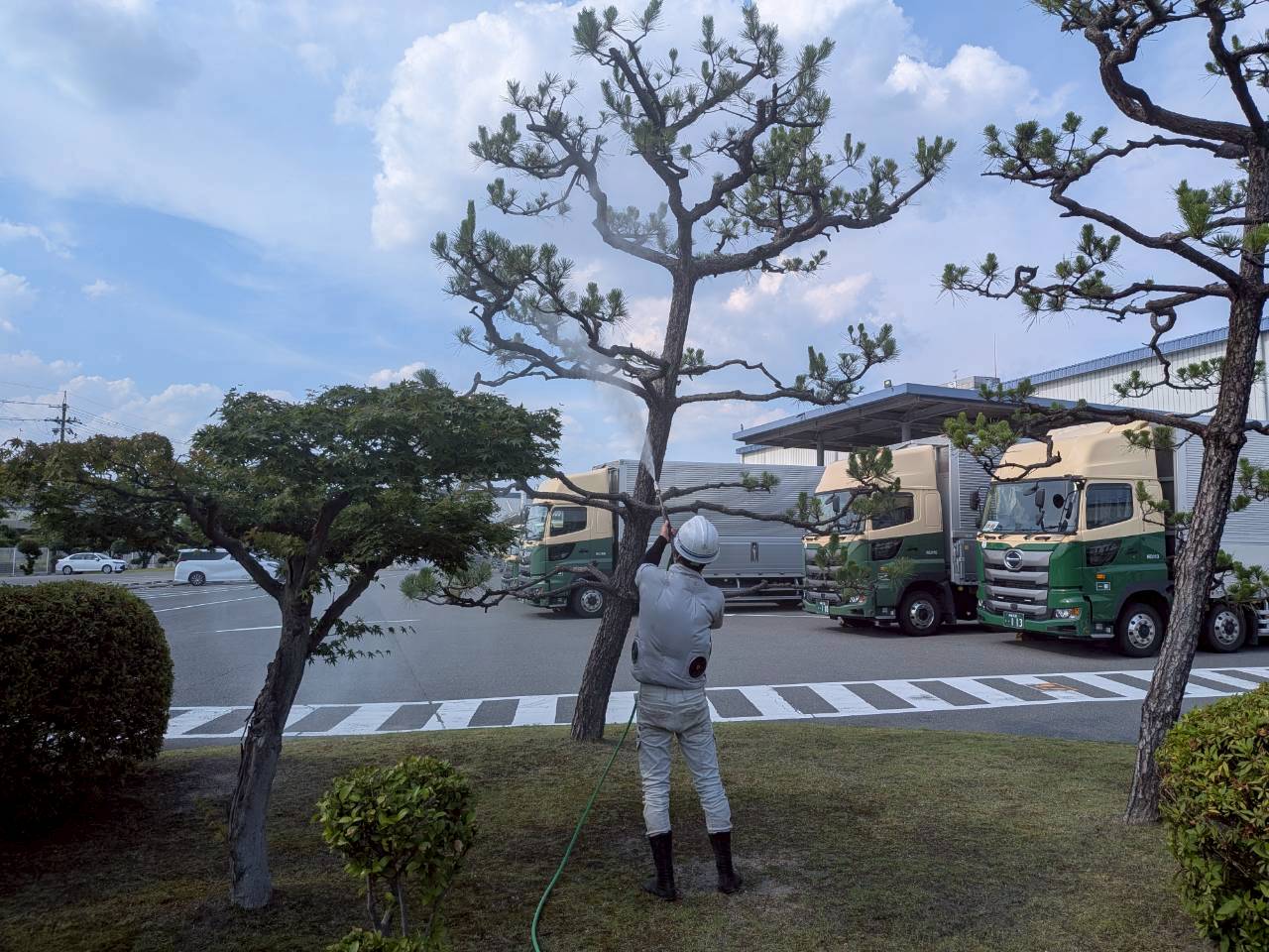 植物管理とその重要性