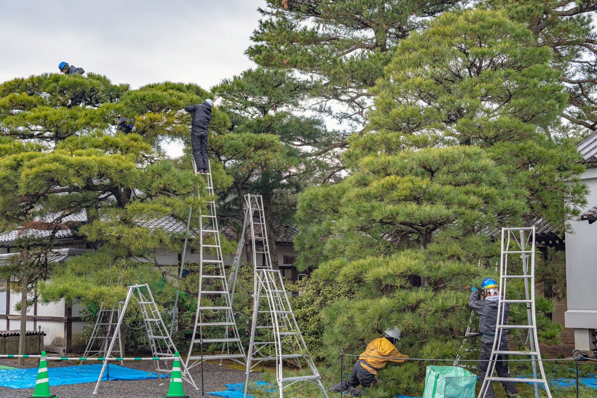 先輩スタッフのわかりやすい指導で着実に技術を学べる職場環境
