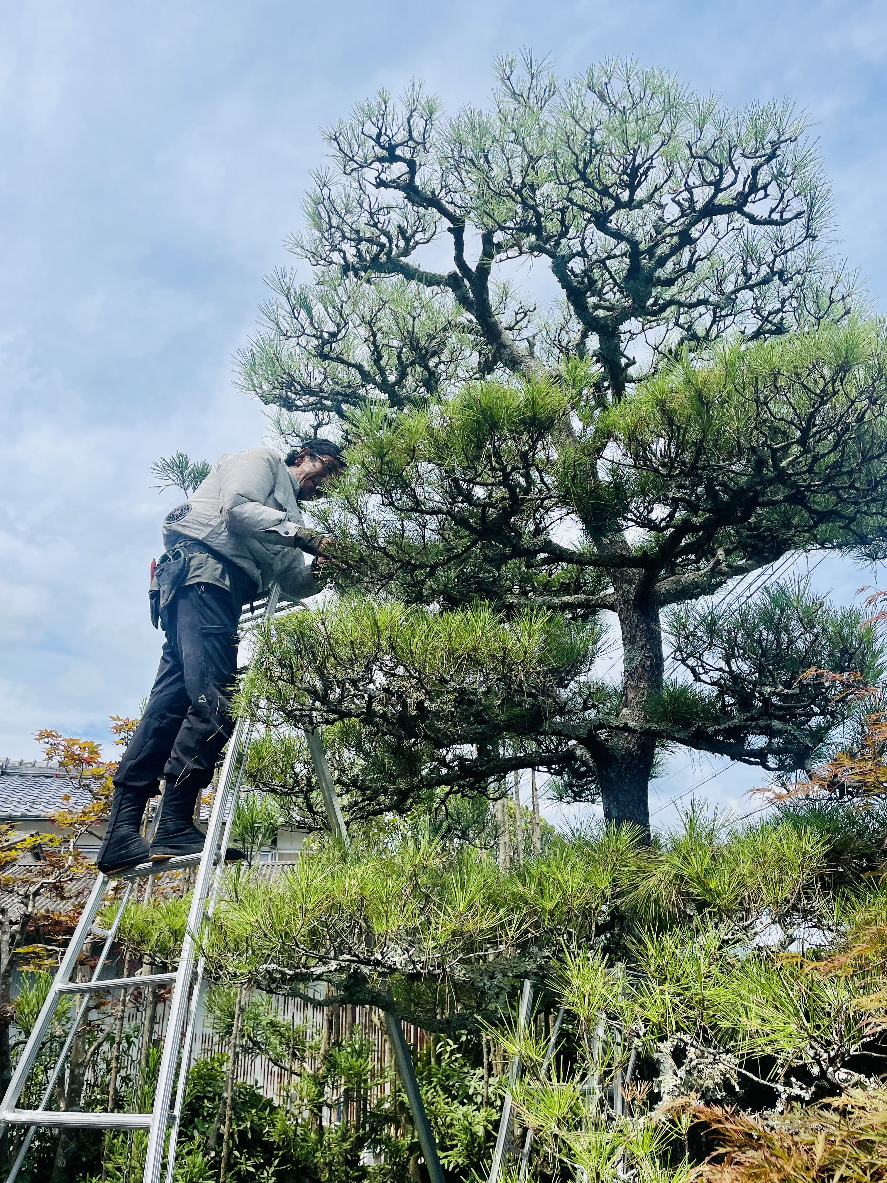 あなたの庭をプロの手で生まれ変わらせる見積無料サービス、安心の庭リフォーム