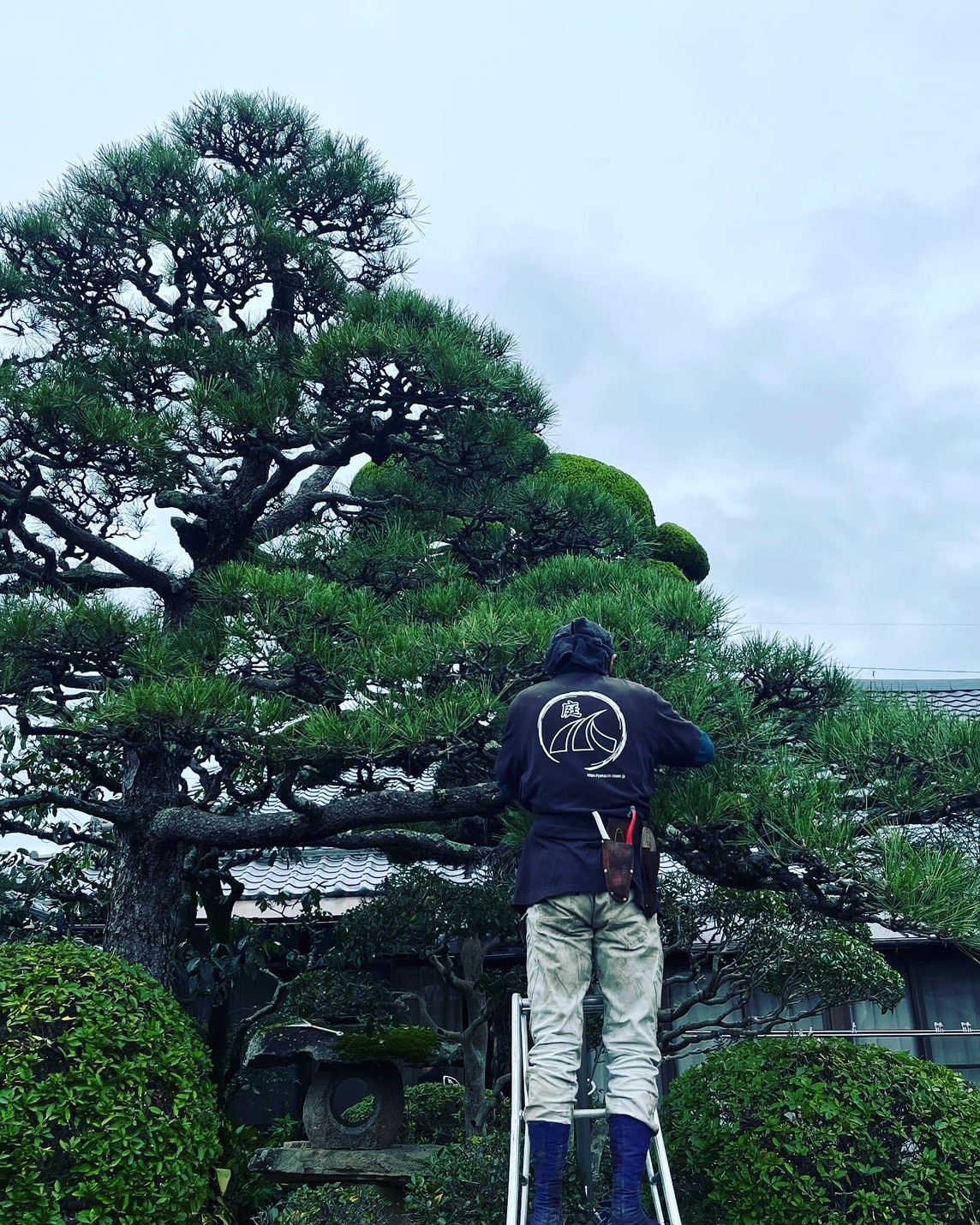 私たちの専門技術