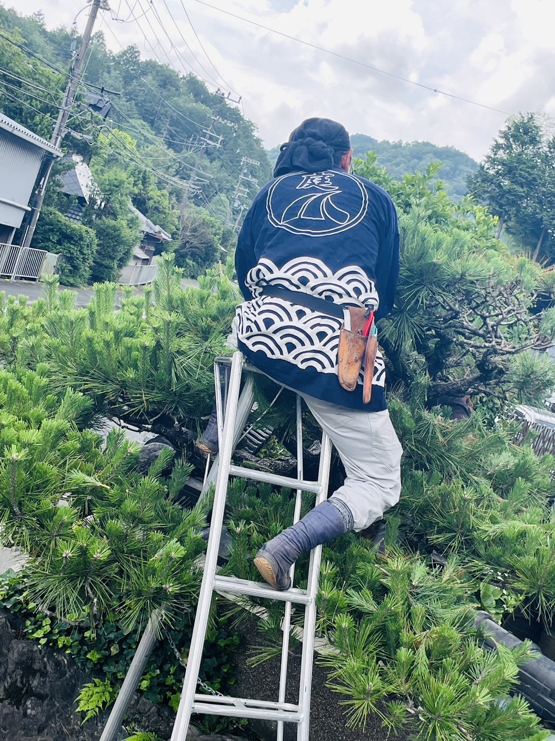 あなたの町を彩る造園屋さんを大募集！一緒に素敵な公共空間を作りませんか？