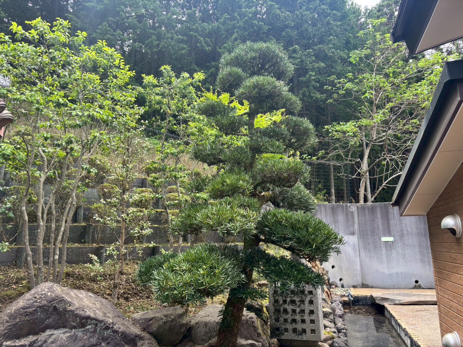 公共事業の実績