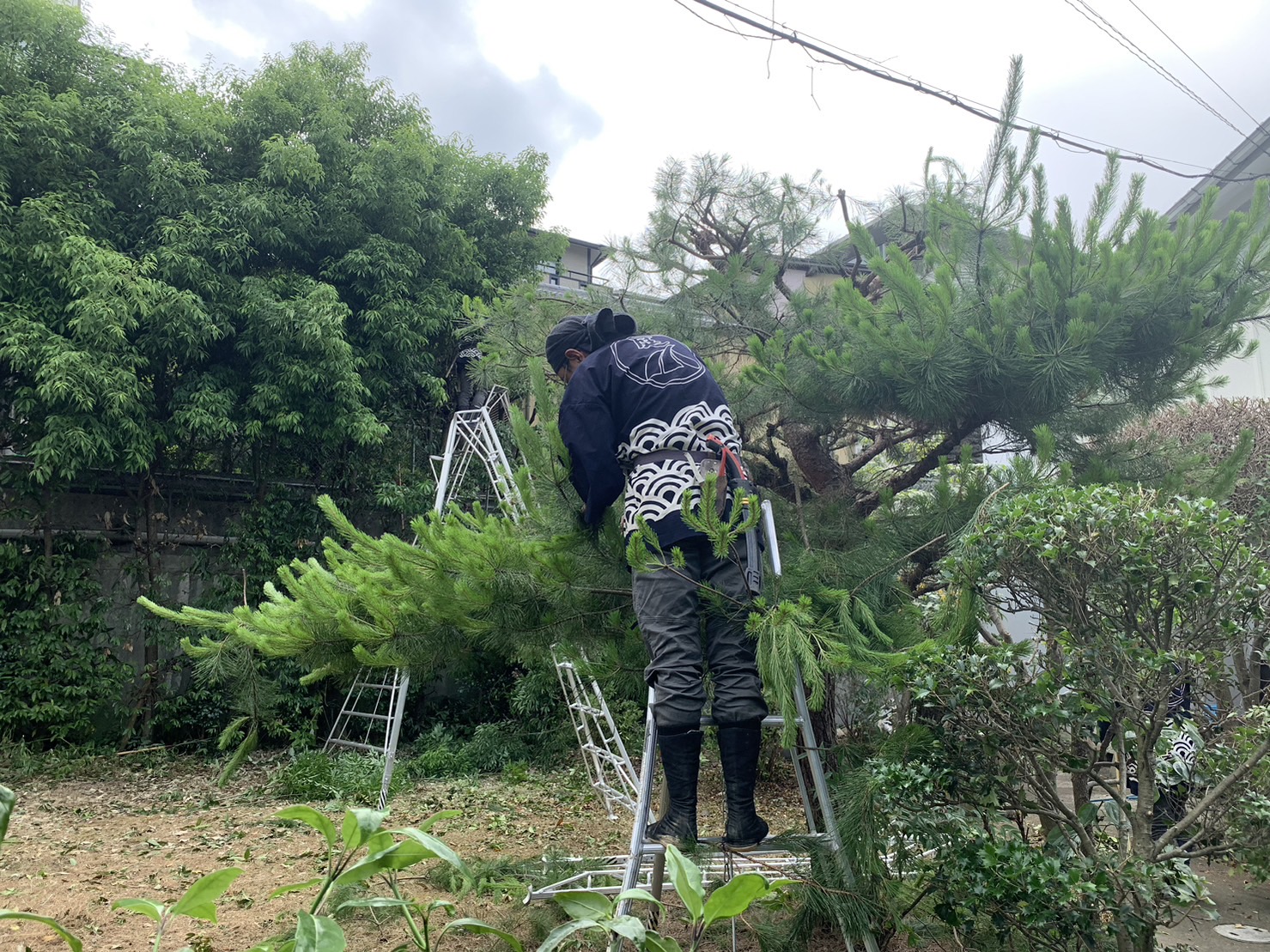 自然に優しい庭づくりで亀岡市の緑を守り育てます！