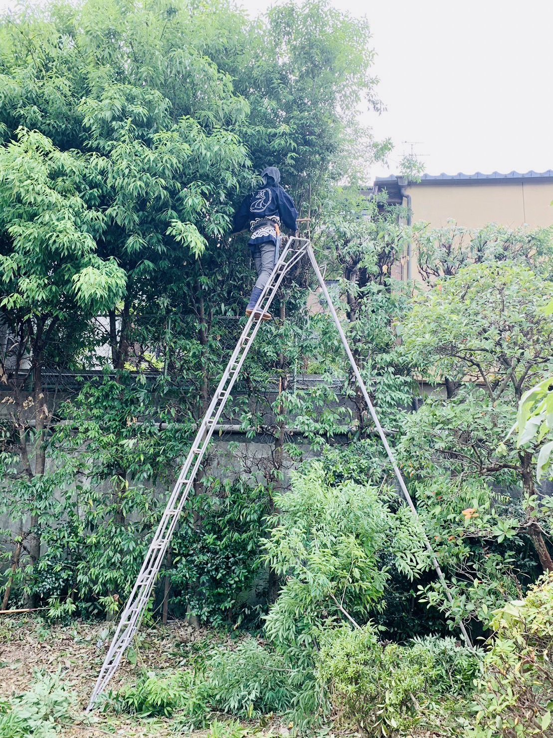 未経験から始める庭の仕事！亀岡市であなたの手を活かすチャンス！