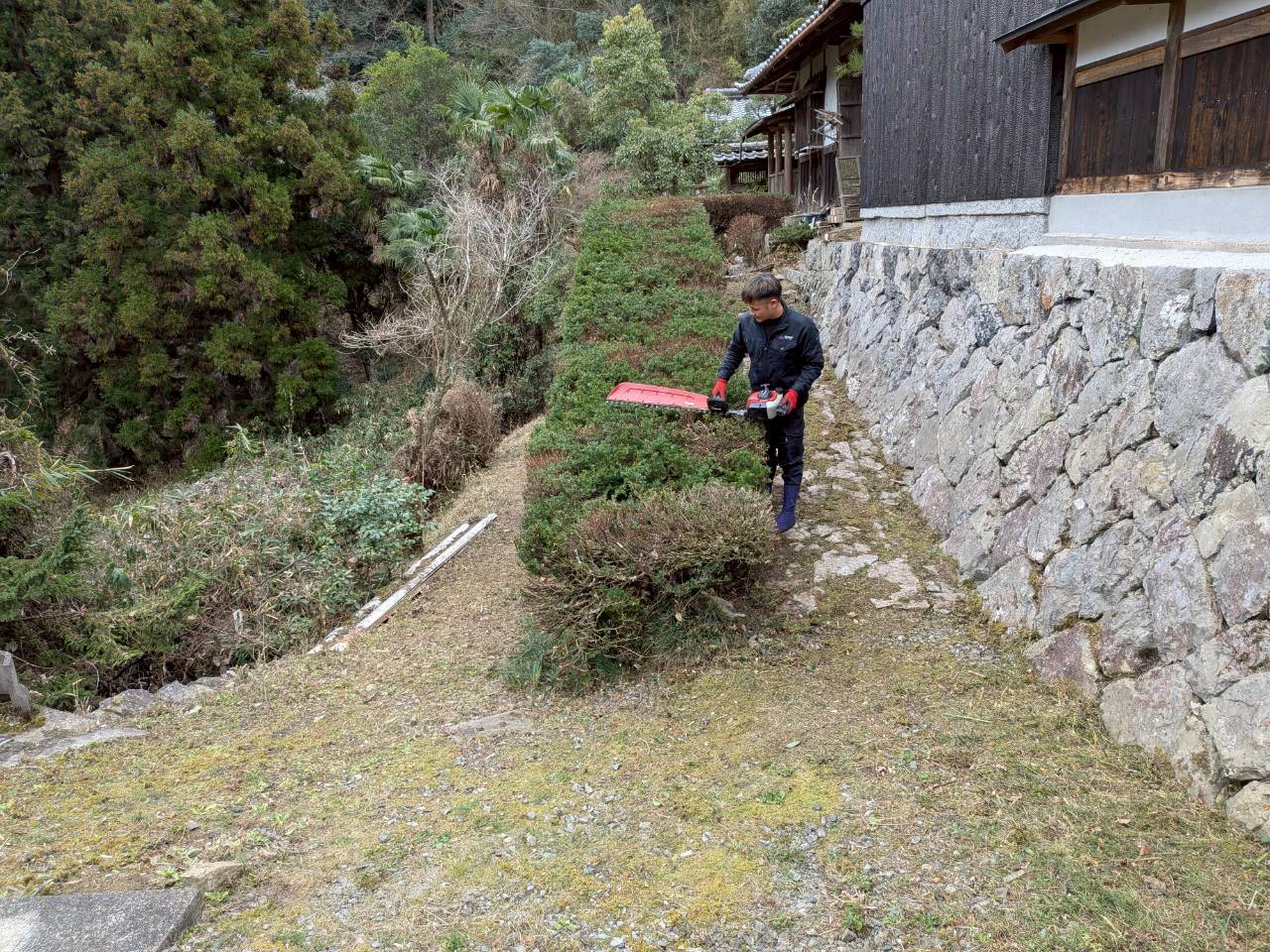 4. 植木剪定のメリット