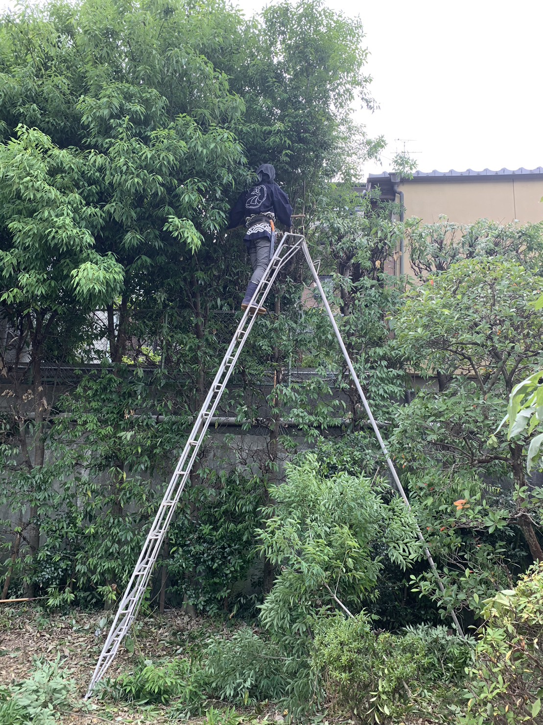 植木職人の魅力