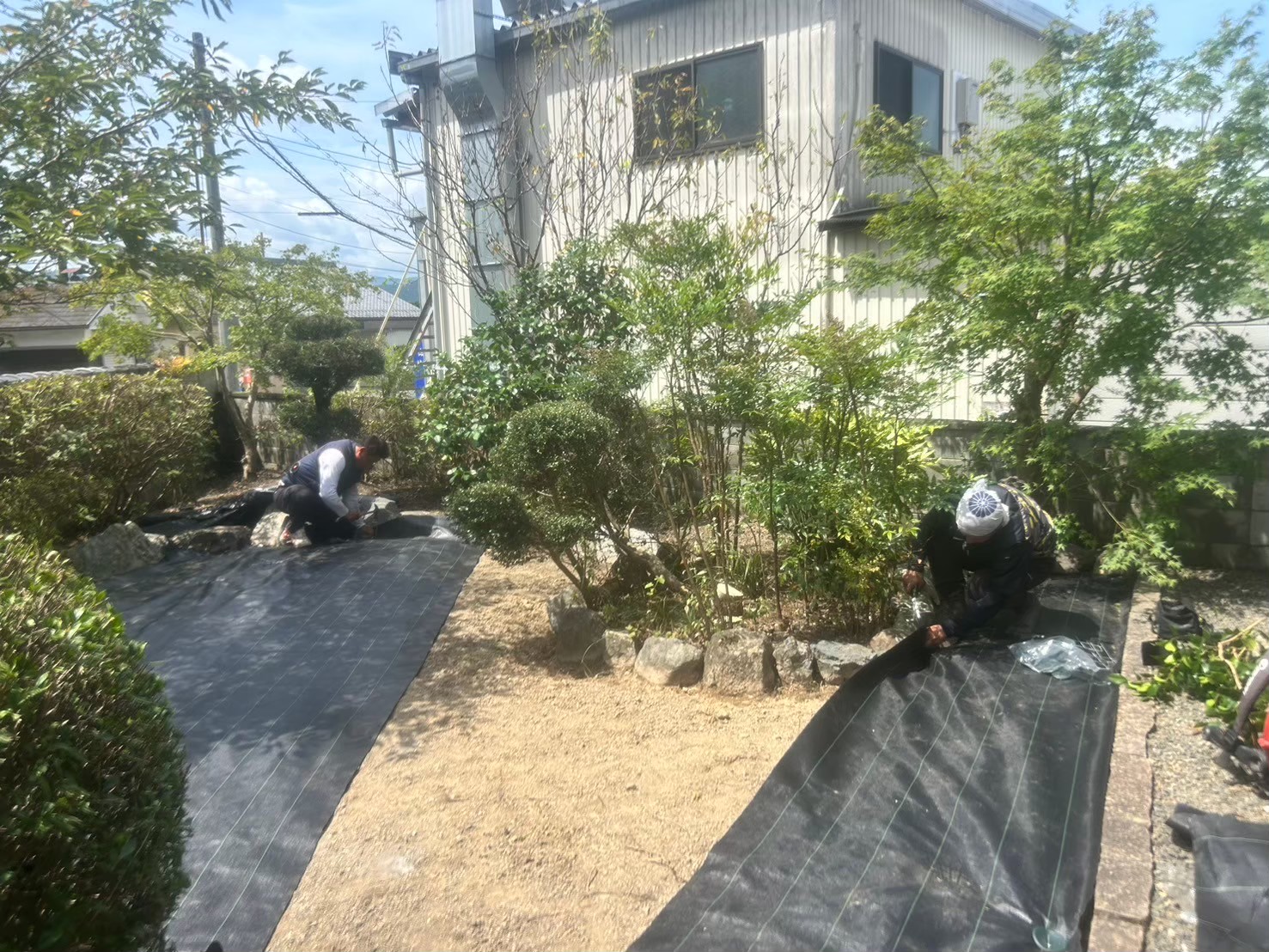 雑草対策の重要性