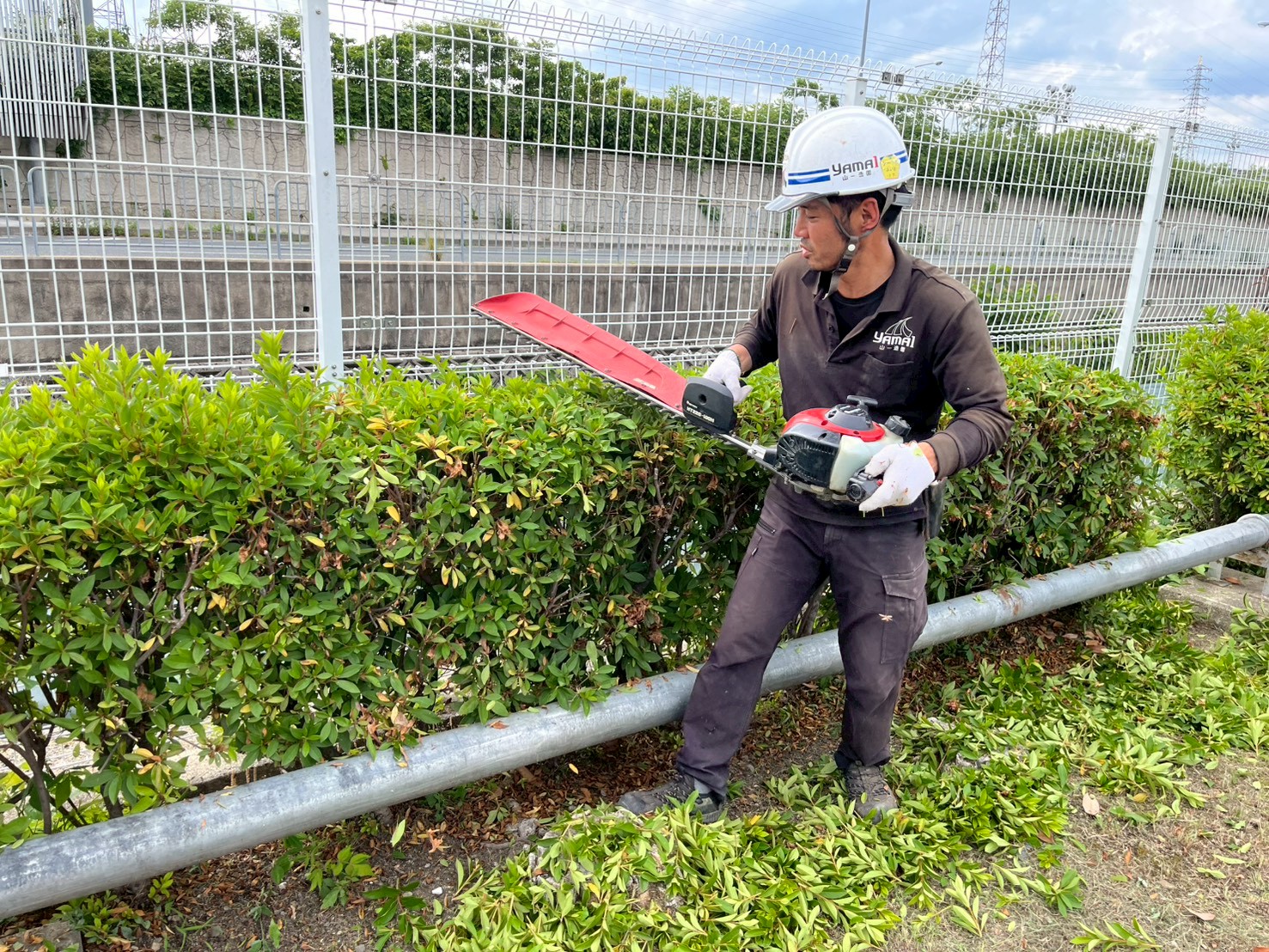 今すぐお見積もりを！