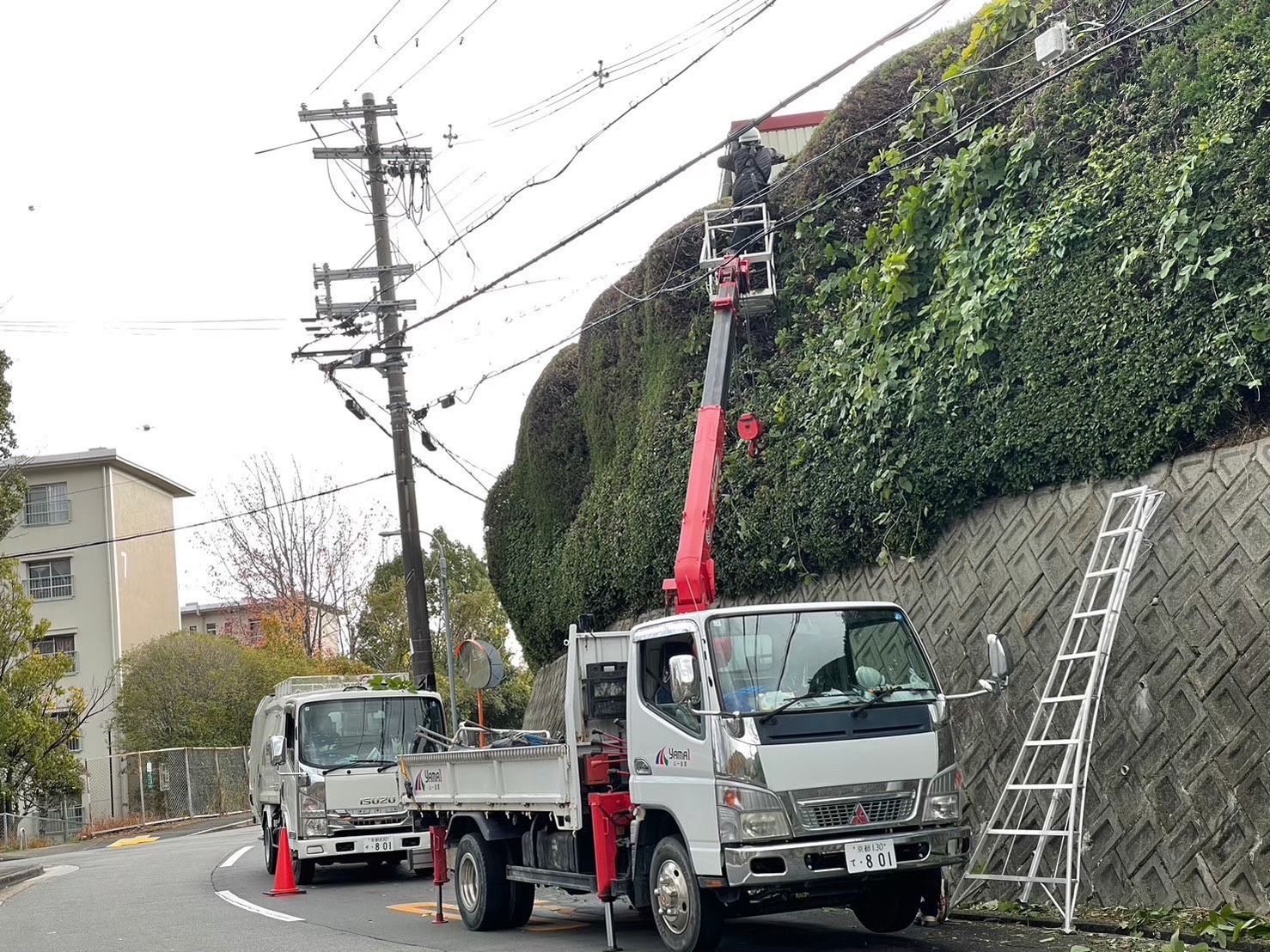 公共事業から個人住宅まで、クオリティの高い造園サービス